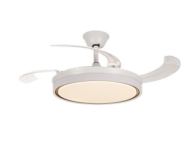 邵通隐曜旋光系列