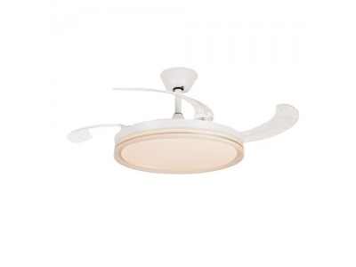 邵通璇阁逸照系列