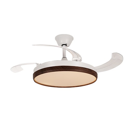 邵通叠韵影旋系列