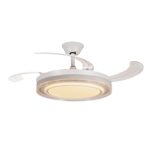 邵通鹤羽流光系列