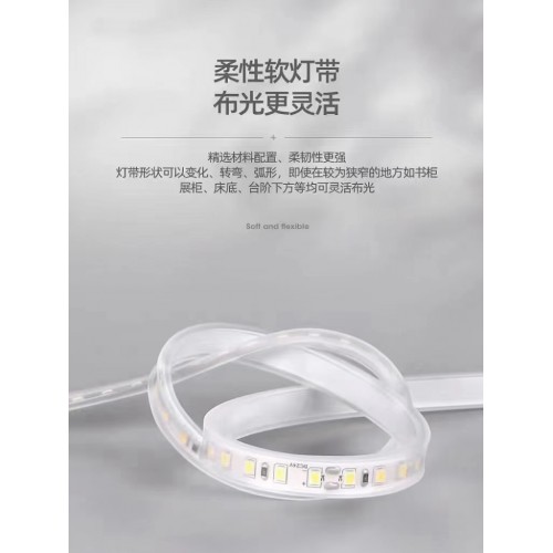 柔性软灯带